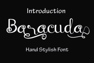 Baraccuda Font: Elegant Script for Web Design