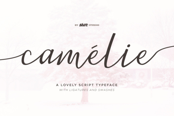 Camelie: A Bouncy Script Font for Crafters