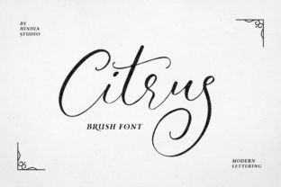 Citrus: A Handwritten Script Font for Elegant Digital Branding