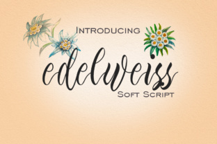 Edelweiss Font: Elegant Script for Creative Projects