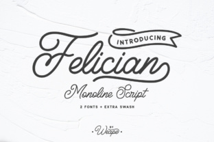 Felician: A Modern Monoline Script Font That Feels Human