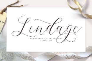 Lindage: Elegant Script Font for Web Design