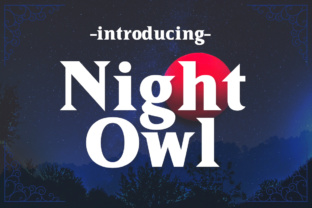 Night Owl Font: Timeless Elegance for Designers