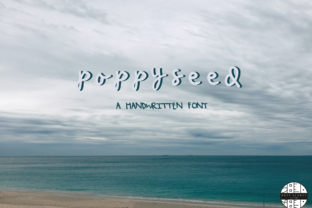 Poppy Seed: A Handwritten Font That Makes Your Brand Feel Human