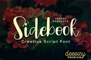 Sidebook Script: A Playful, High-Engagement Script Font for Digital Campaigns