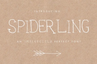 Spiderling: A Handwritten Font for Editorial Design