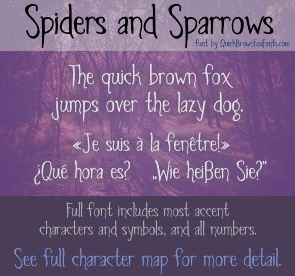 Spiders and Sparrows: A Decorative Font That Gives Your Brand Personality