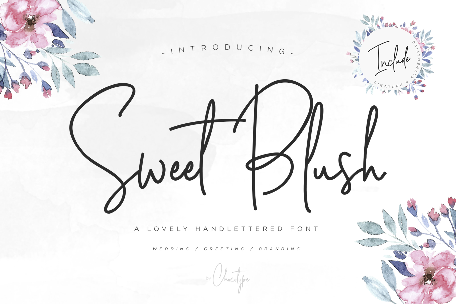 Sweet Blush: A Feminine Script Font That Elevates Brand Identity